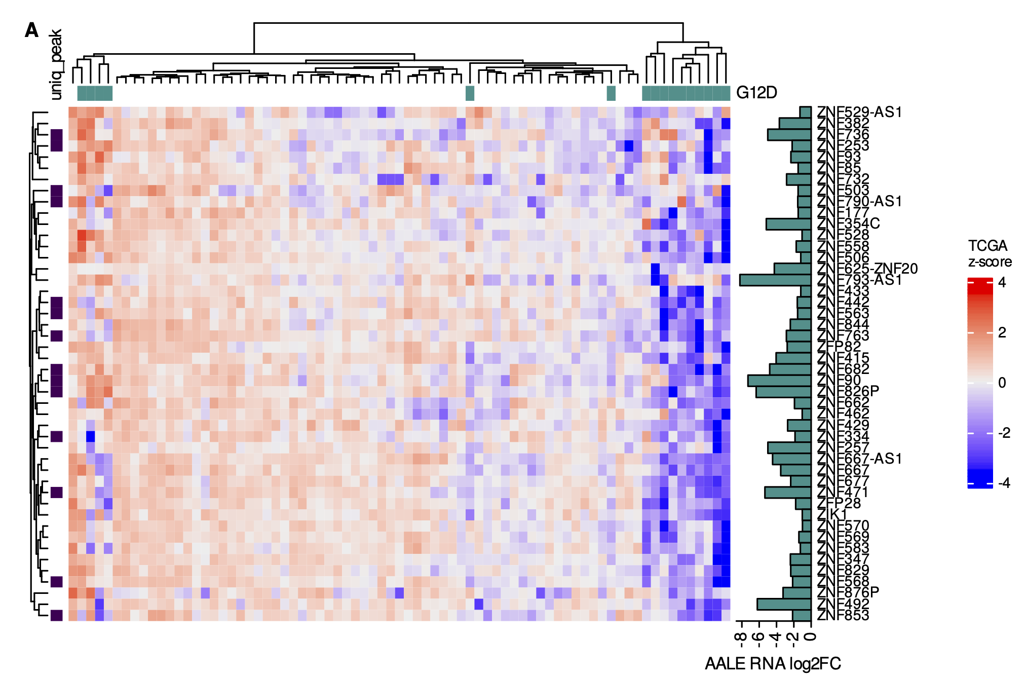 Figure 5: A. Hierarchical clustering of expression z-scores in TCGA LUAD RNA-seq data for KZNF genes downregulated in mutant KRAS AALEs; KZNFs with unique peaks in their promoter regions in control AALEs are labeled.