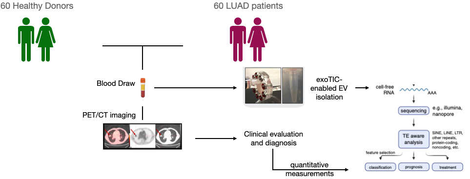 Figure 11: A. Diagram of study design and diagnostic assay execution.