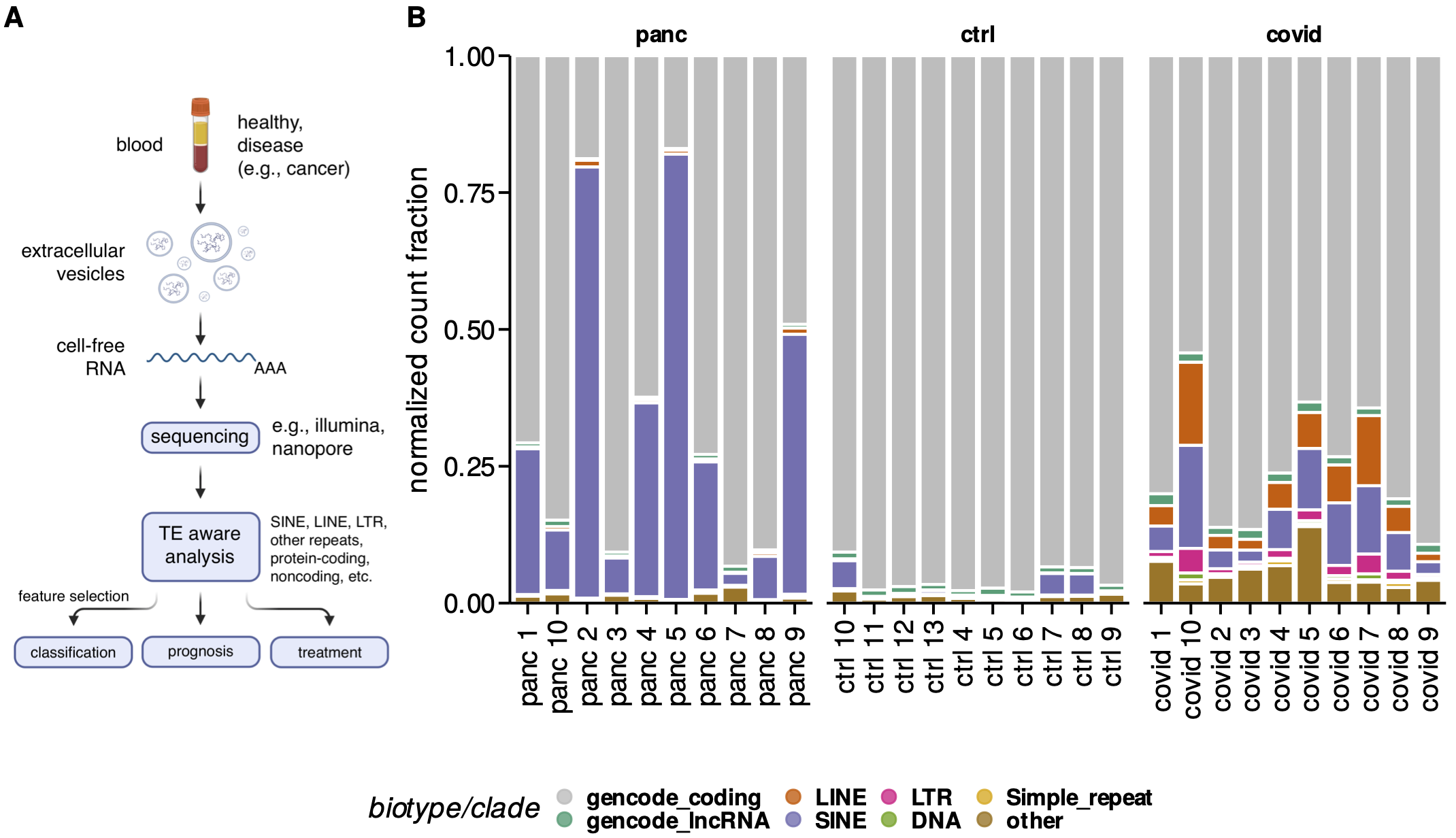 Figure 6: A. Simplified diagram of approach used in Aim 2. B. Distribution of biotype representation (by normalized count) in RNA seq quantifications for samples from each cohort, colored by GENCODE-annotated biotype or Repeat Masker-annotated TE clade.