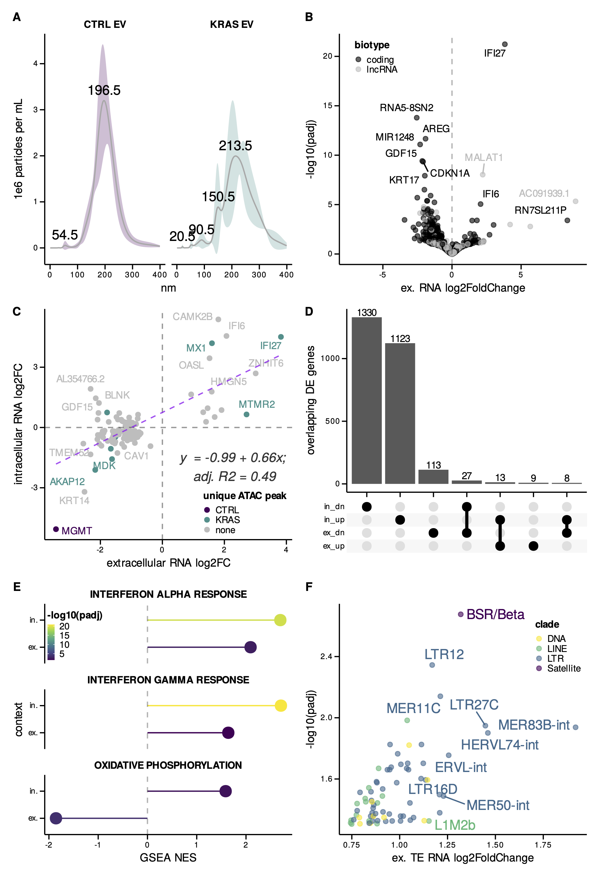Figure 3: A. Size distribution of extracellular vesicles (EV) isolated from control (CTRL) and mutant KRAS AALEs. B. Volcano plot of differentially secreted GENCODE protein-coding RNAs and lncRNAs between mutant KRAS and CTRL AALE EVs. C. Scatter plot comparing differentially expressed genes between intracellular and extracellular mutant KRAS AALE RNA-seq libraries; linear regression fit with formula and goodness of fit displayed. D. Upset plot summarizing overlap of differentially expressed upregulated (up) and downregulated (dn) genes across intracellular (in) and extracellular (ex) contexts. E. Significantly enriched gene sets detected in both intracellular (in) and extracellular (ex) contexts. F. Differential secretion of TE RNAs in EVs from mutant KRAS AALEs when compared to control AALE EVs.