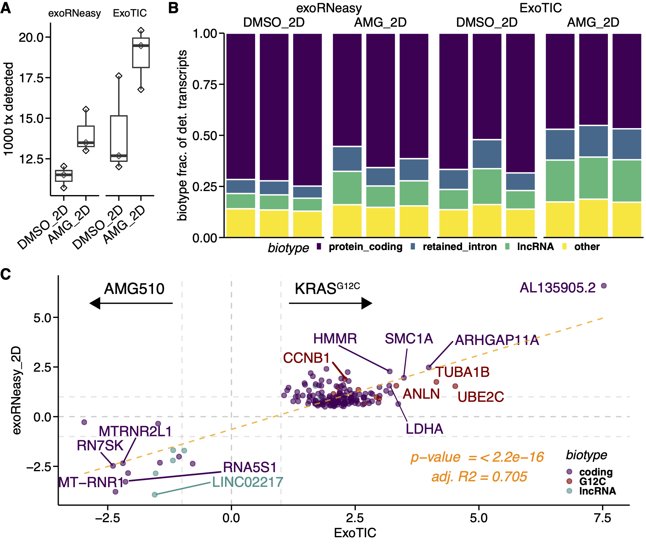 Figure 4: A. Distribution of number of transcripts detected above threshold of 5 normalized counts in both ExoTIC and exoRNeasy platforms. B. Stacked bar plot displaying the fraction of detected transcripts annotated as protein coding, retained intron, lncRNA, or other GENCODE biotypes. C. Scatter plot comparing log2-scale fold-changes between AMG and DMSO treatment using the ExoTIC (x-axis) and exoRNeasy (y-axis) platforms. Colors represent GENCODE biotypes lncRNA, protein-coding, or membership in the G12C-induced gene set from Xue et al [45].