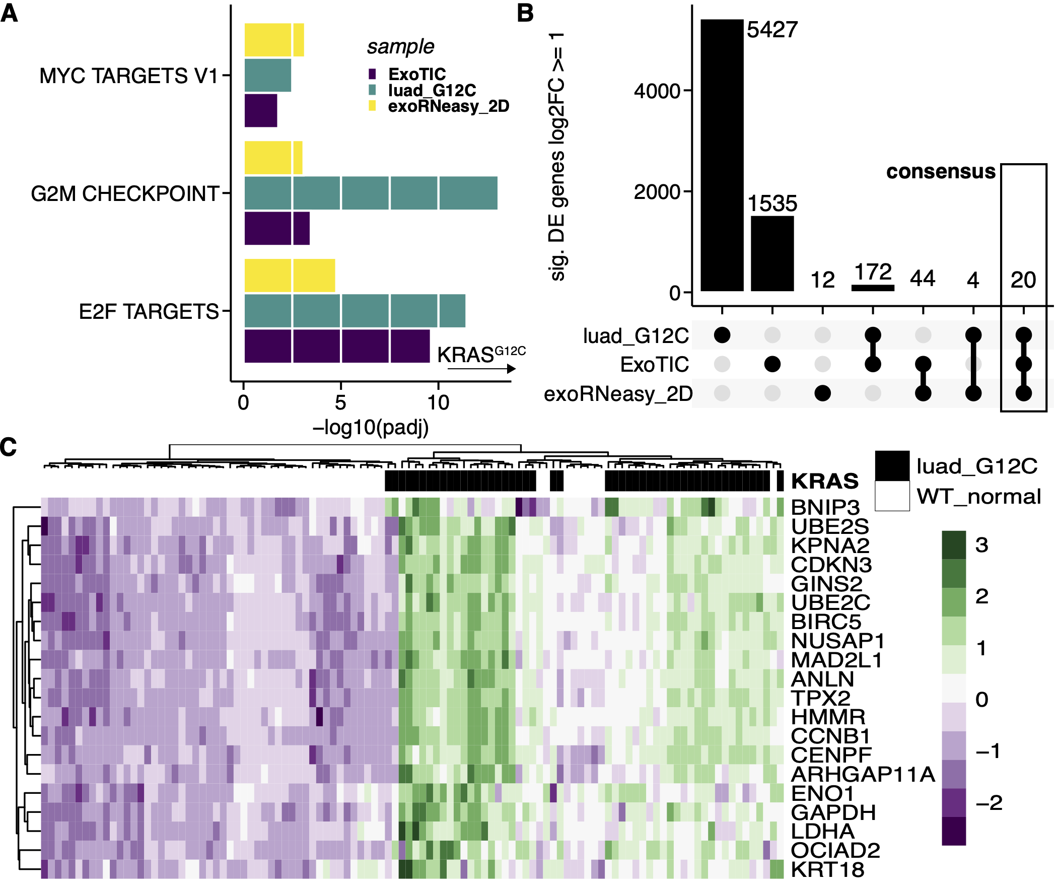 Figure 2: A. Bar plot of -log10 transformed adjusted p-value produced for each Hallmark gene set in Gene Set Enrichment Analysis across exoRNeasy, ExoTIC, and TCGA LUAD data sets. B. Upset plot quantifying overlap of upregulated genes (log2 fold-change >= 1) in exoRNeasy, ExoTIC, and TCGA LUAD differential expression. The labelled consensus set is used in the following panels. C. Heatmap with hierarchical clustering of scaled and centered count values for the 20 genes contained in the consensus overlapping set observed in B.